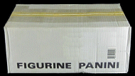 Panini 1991 Stickers Case